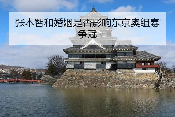 张本智和婚姻是否影响东京奥组赛争冠